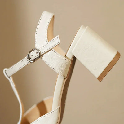 Brianna | T-Strap Block Heel Pumps